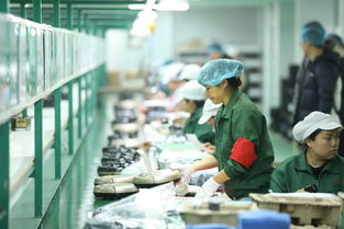 拼多多賦能“拼工廠”，深圳試點(diǎn)透明化生產(chǎn)，麥秸畫傳統(tǒng)工藝觸網(wǎng)新生