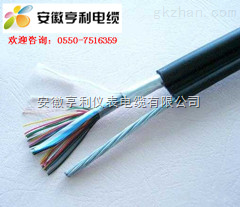 探析ZR-DJYP2VP2特種計(jì)算機(jī)電纜 以安徽亨利儀表電纜為例