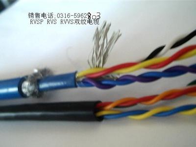 特種電纜專家 ZA-RVVPS電纜生產(chǎn)商的實(shí)力與產(chǎn)品優(yōu)勢(shì)解析